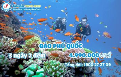 Tour du lịch Phú Quốc 3 ngày 2 đêm chất lượng giá rẻ
