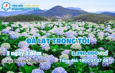 Tour du lịch Đà Lạt 3 ngày 3 đêm giá rẻ chất lượng